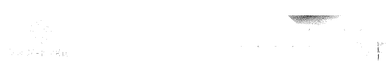 AfaTV Solverde